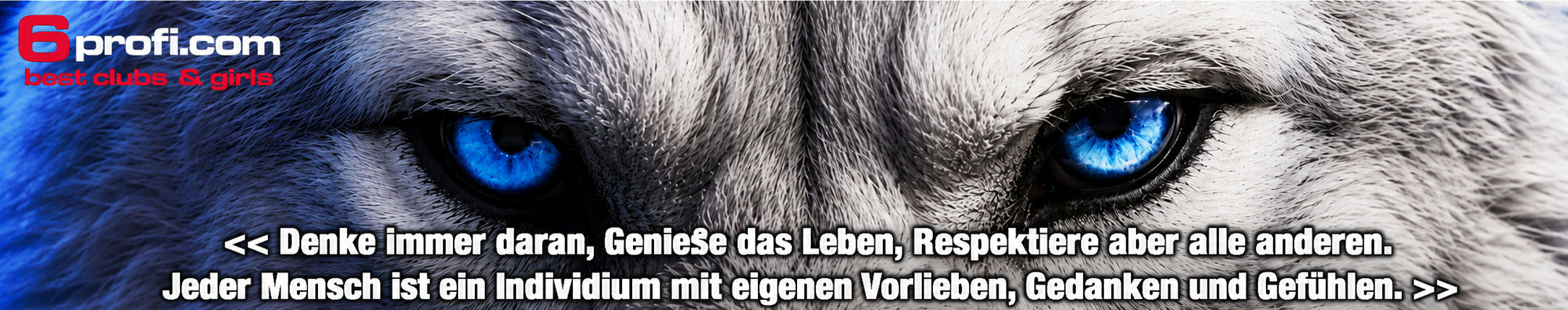 Titelbild312.jpg