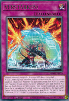 MZMI-DE079 VERSTÄRKEN! (RARE)