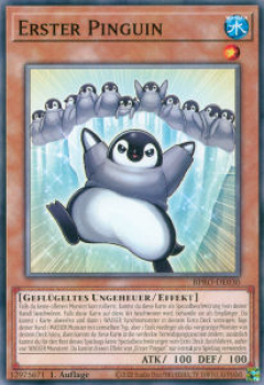 BPRO-DE030 Erster Pinguin