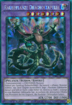 RA01-DE027 Raubpflanze Drachostapelia (Collector Rare)