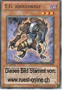 EXVC-DE020 T.G. Kriegswolf