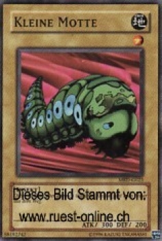 MRD-G023 Kleine Motte