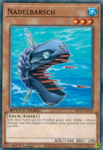 SBC1-DEC04 Nadelbarsch