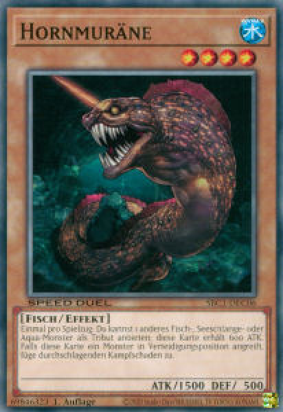 SBC1-DEC06 Hornmuräne