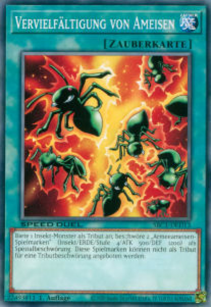 SBC1-DED13 Vervielfältigung von Ameisen