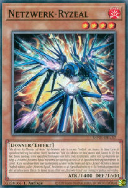 MP25-DE437 Netzwerk-Ryzeal