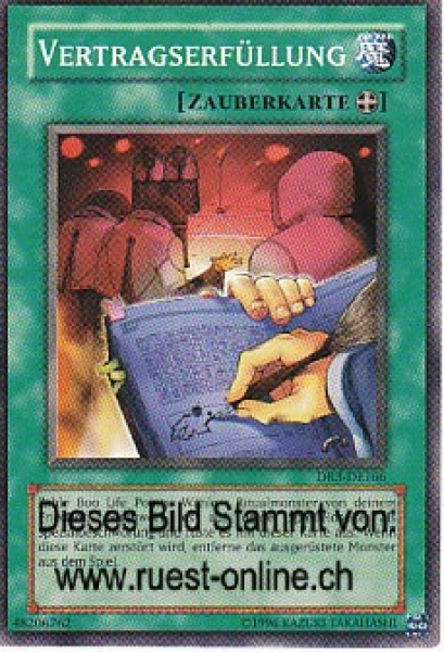 DR3-DE166 Vertragserfüllung