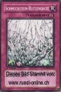 FOTB-DE059 Schmuckstein-Blitzenergie
